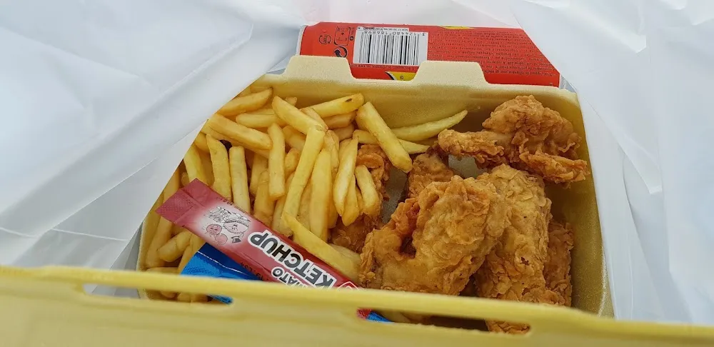 Chicken Wings and Fries